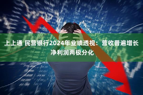 上上通 民营银行2024年业绩透视：营收普遍增长 净利润两极分化